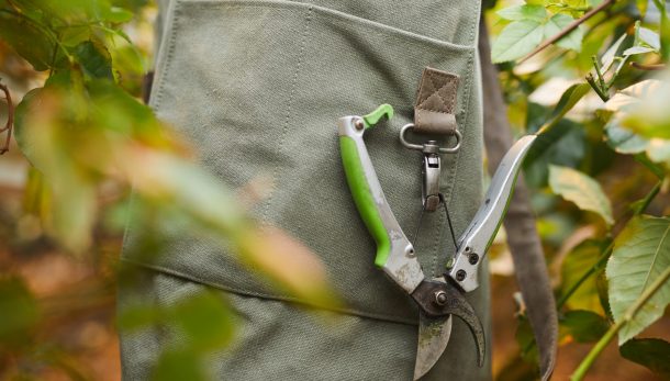 Close-up of gardener in apron and with instruments working with plants in the garden