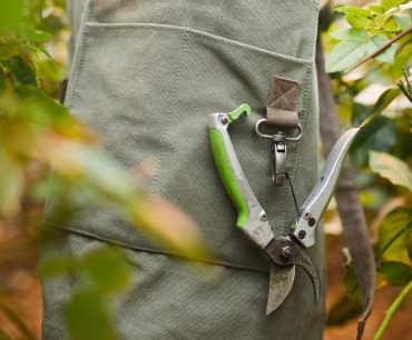 Close-up of gardener in apron and with instruments working with plants in the garden